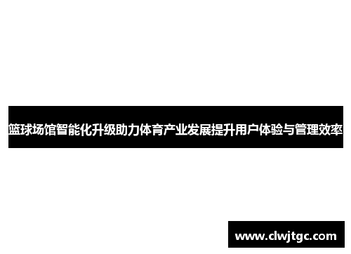 篮球场馆智能化升级助力体育产业发展提升用户体验与管理效率